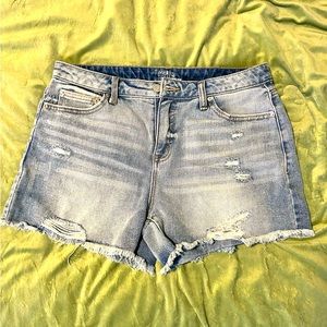 Cutoff Distressed Denim Shorts